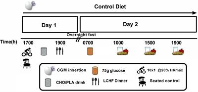 Carbohydrate-Energy Replacement Following High-Intensity <mark class="highlighted">Interval Exercise</mark> Blunts Next-Day Glycemic Control in Untrained Women